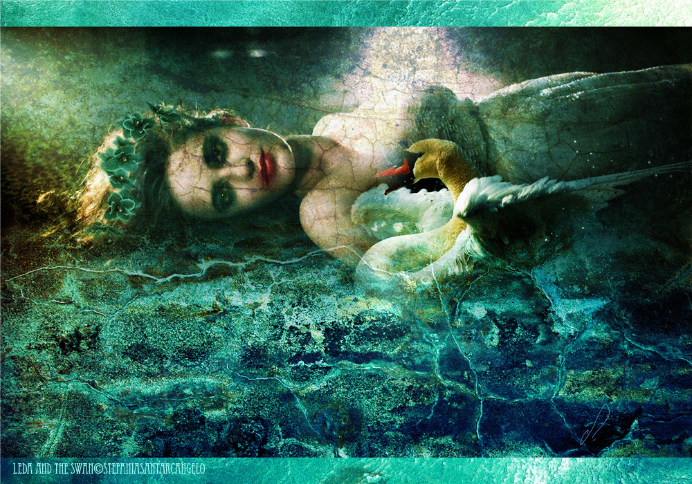 Image #2 of 7: 